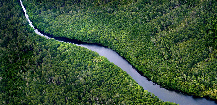 清潔的淡水，是日常生活不可或缺的資源